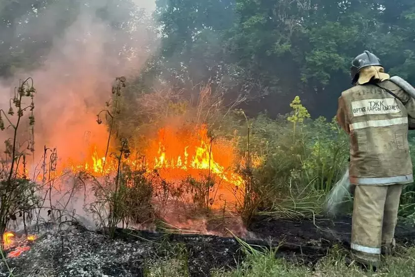 Лесной пожар тушат в Жамбылской области