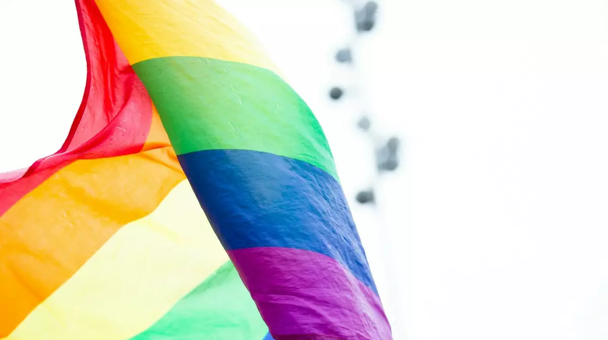 В Грузии планируют ввести запрет на пропаганду ЛГБТ