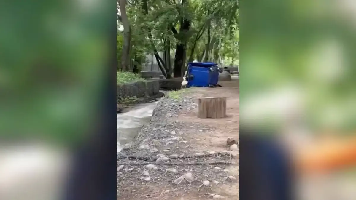 В Алматы кафе оштрафовали за мойку мусорного бака в реке