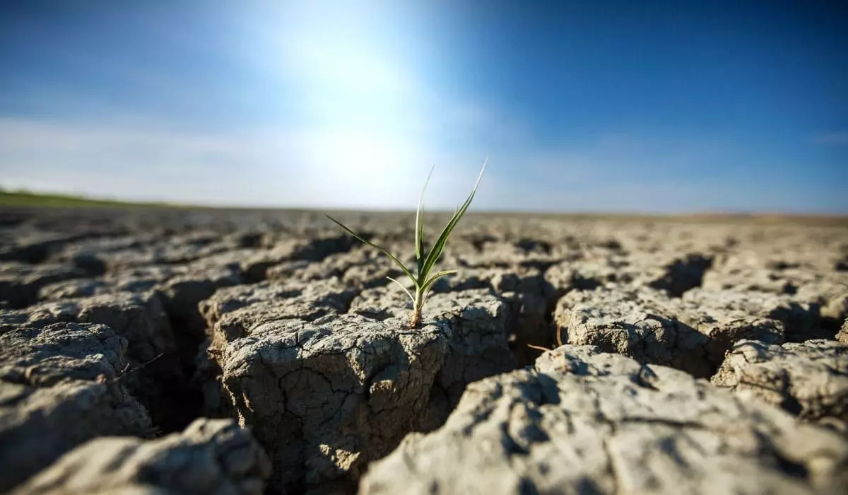 Каким регионам Казахстана грозит засуха в июне