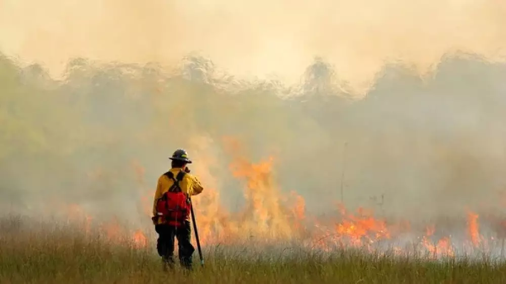 Природный пожар в Жамбылской области локализован