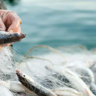 В Казахстане усилят борьбу с незаконным рыболовством