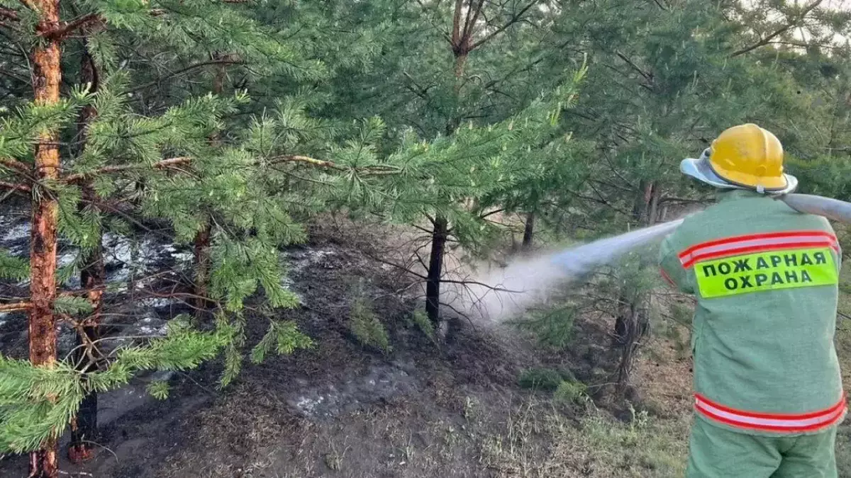 Дети подожгли лес в Павлодарской области