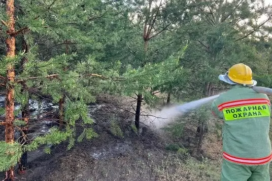 Дети устроили пожар в лесу в Павлодарской области