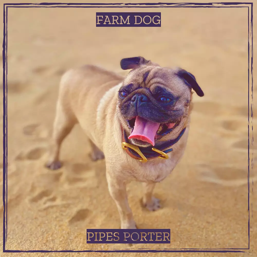 Новый альбом Pipes Porter - Farm Dog