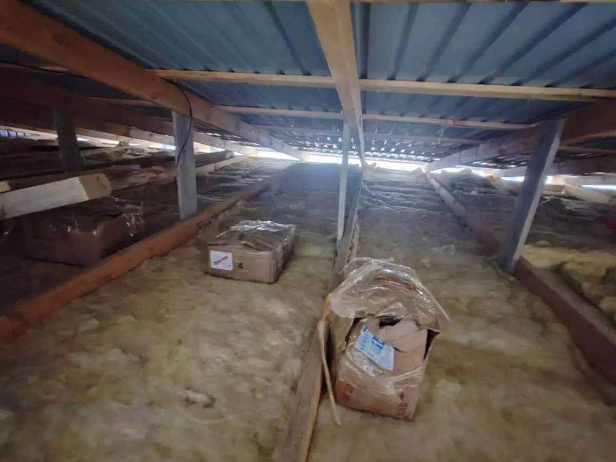 Рога сайги на 1,2 млрд тенге нашли на чердаке жителя Жетысу