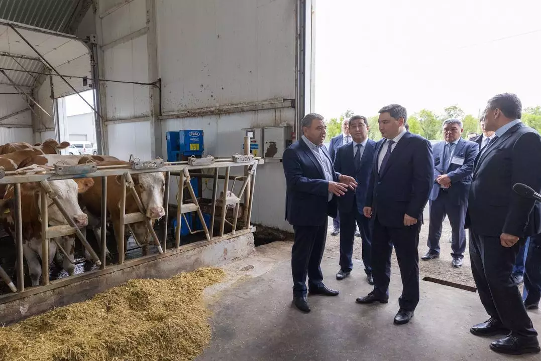 Премьер-министр Казахстана встретился с аграриями и животноводами СКО