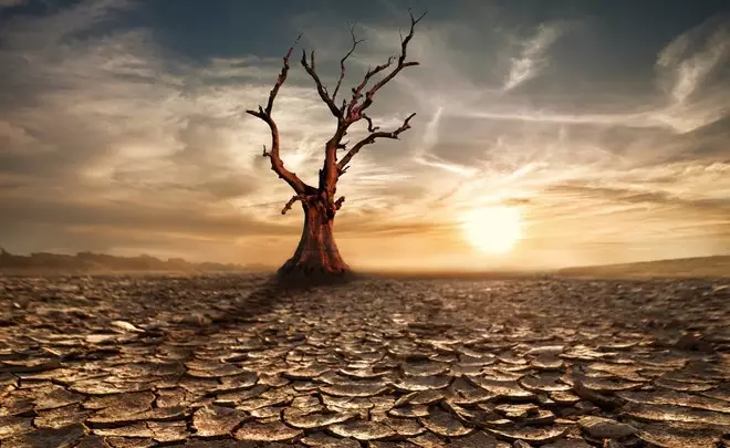 Штормовое предупреждение о засухе в ближайшие 10 дней распространил «Казгидромет»