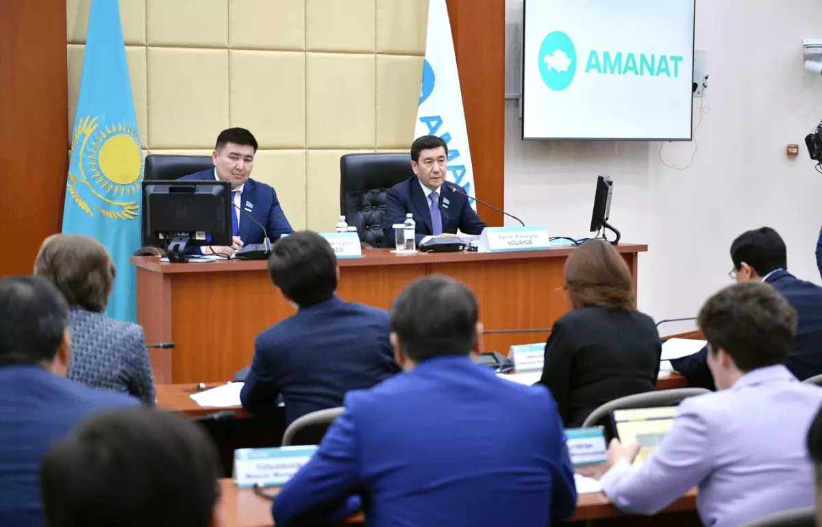 На фракции AMANAT презентовали подходы к новому Налоговому кодексу