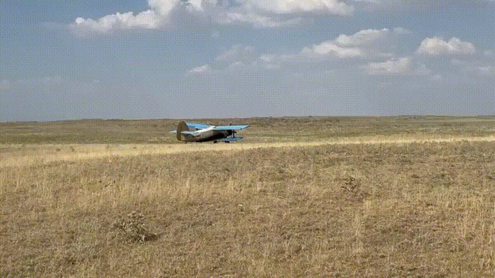 Поля с мертвой саранчой сняли на видео в Туркестанской области