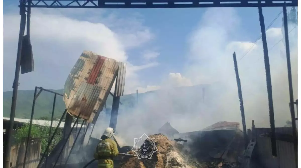 Тонны корма кукурузы сгорели в Алматинской области