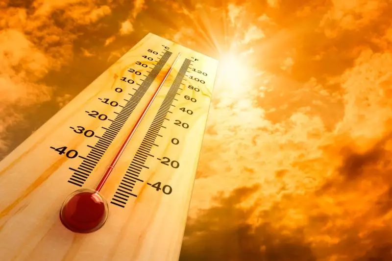 Из-за аномальной жары в одной стране умерли 90 человек