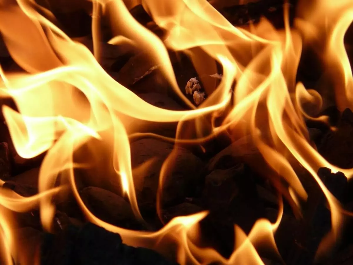Грузовик загорелся ночью на трассе в Жамбылской области