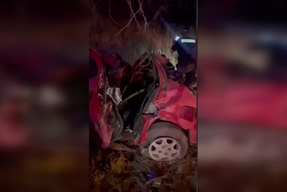 Авто врезалось в дерево в Алматинской области, погибли пять человек