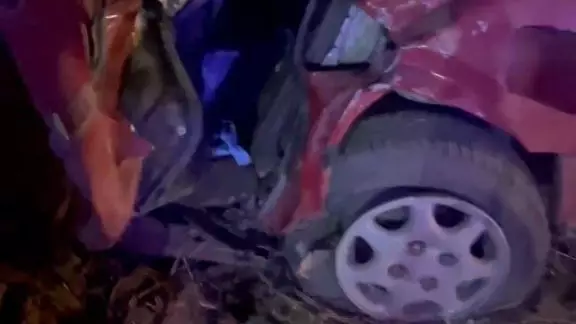 Алматы облысында жантүршігерлік жол апатынан бес адам мерт болды