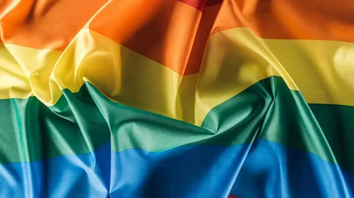 ЛГБТ-ны насихаттауға қарсы петиция қаралады
