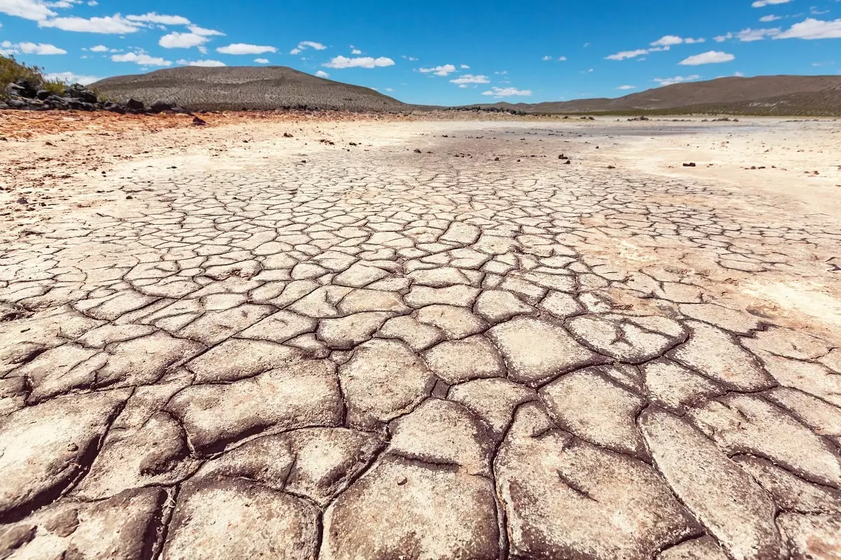 Засуха в июне 2024: синоптики дали уточненный прогноз