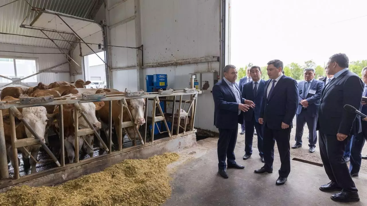 В Казахстане продолжают масштабировать опыт Северо-Казахстанской области по открытию молочно-товарных ферм