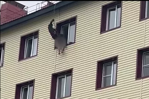Операция по спасению парня от прыжка с пятого этажа попала в сеть