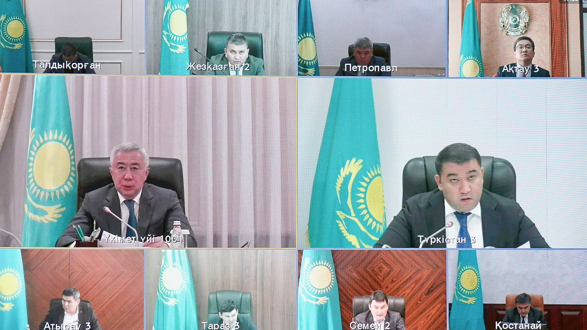 Руководство Минсельхоза и вице-премьер Жумангарин выехали в регионы Казахстана из-за распространения саранчи