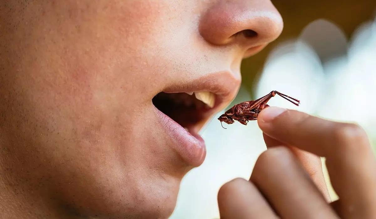 «Нехарактерно для казахов»: о поедании халяльной-саранчи высказалась глава Минздрава