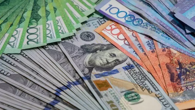 Сколько денег получает правительство Республики Казахстан благодаря грантам зарубежных организаций?