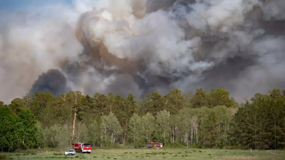 Депутаты требуют усилить меры по предотвращению лесных и степных пожаров