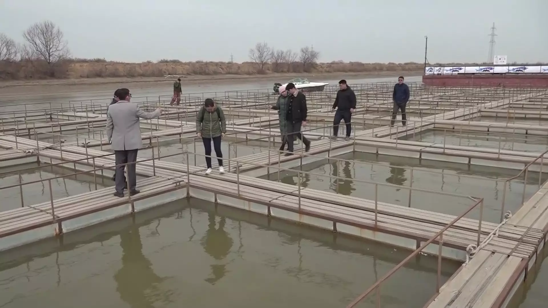 Проблемы казахстанской рыбной промышленности озвучили в Минсельхозе