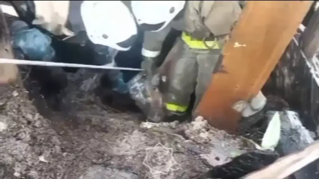 Спасатели несколько часов доставали провалившуюся под пол корову в Риддере