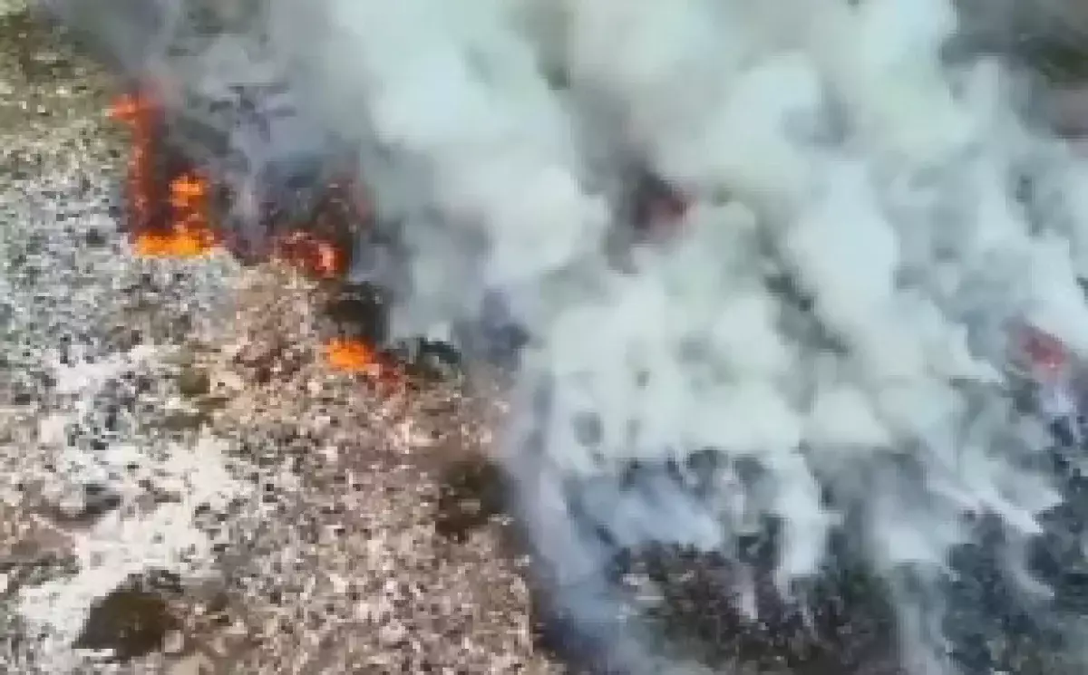 Мусорный полигон загорелся в Алматинской области