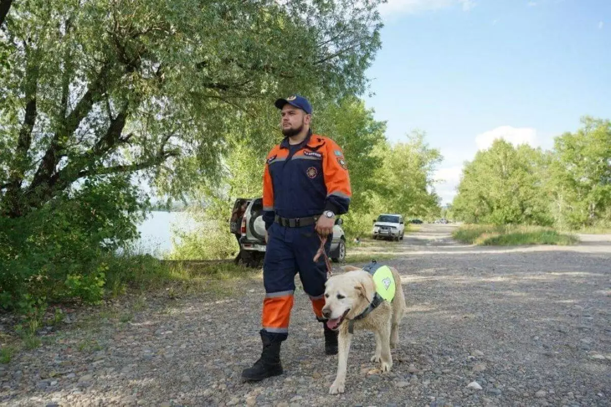 Не пускает пьяных в воду: собака-спасатель Хит умилила казахстанцев (ВИДЕО)