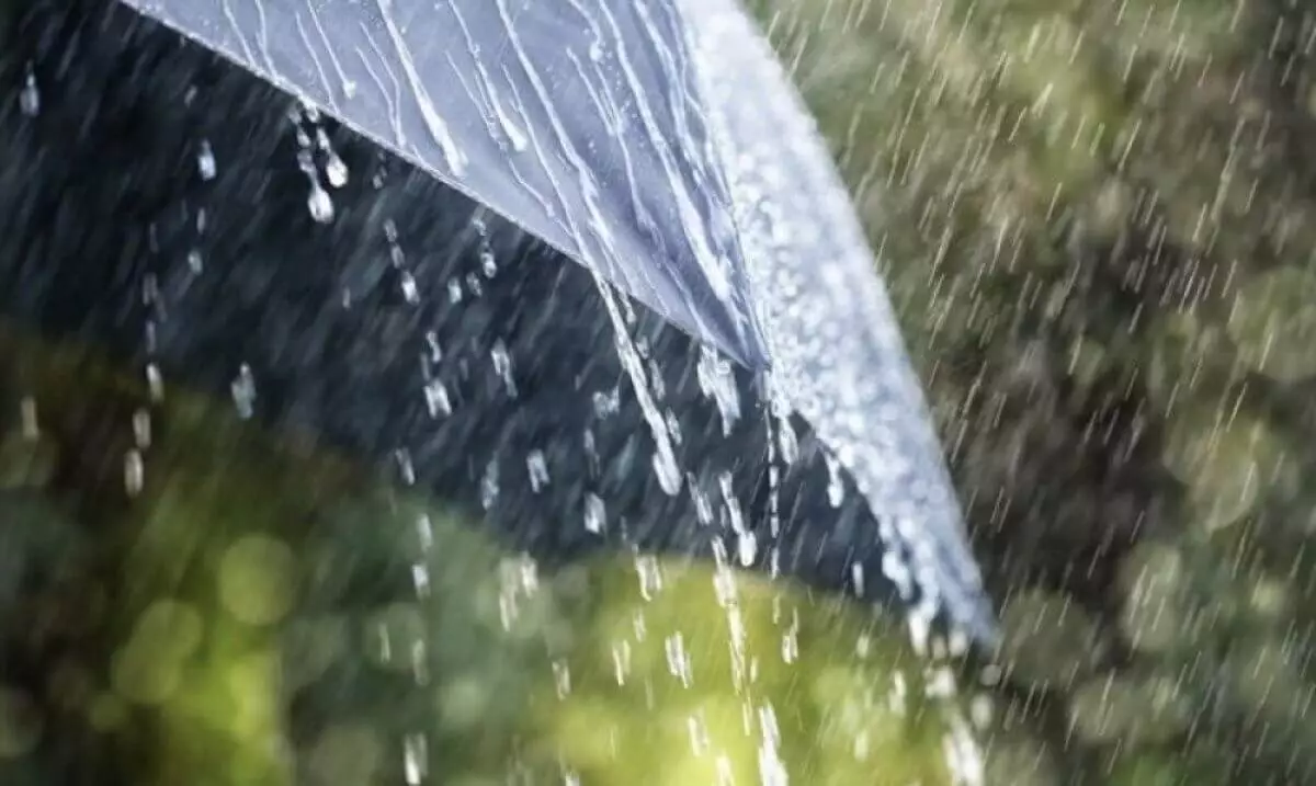 Почем дождевая вода? – в Казахстане хотят ввести тарифы на осадки
