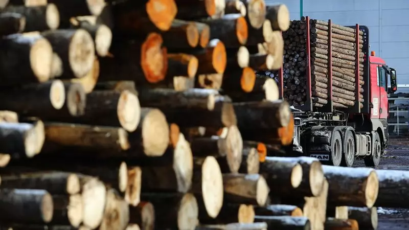 Казахстан продлил запрет на вывоз отдельных лесоматериалов