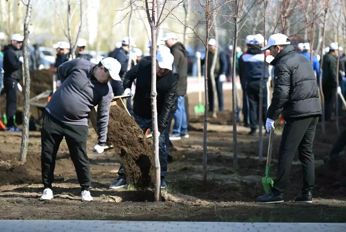 2,5 млн деревьев высадили в рамках президентской акции "Таза Қазақстан"
