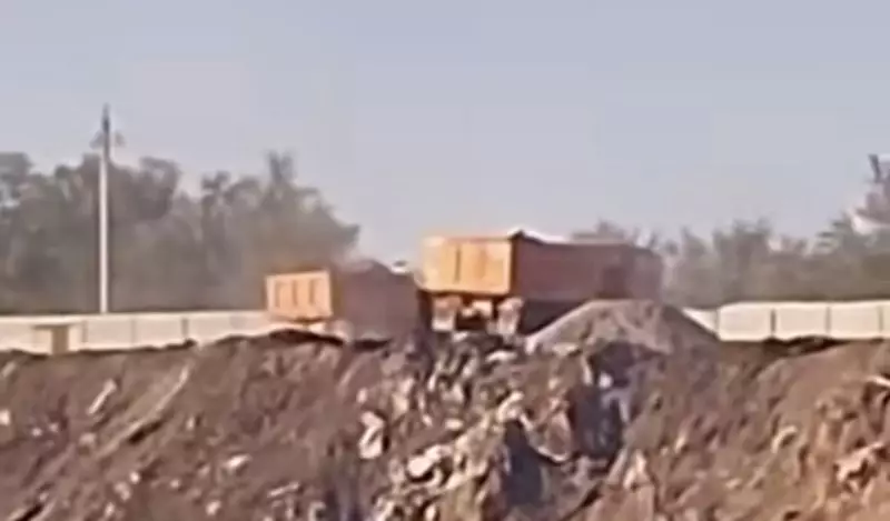 Движется экокатастрофа: строительный мусор сбрасывают у реки Большая Алматинка
