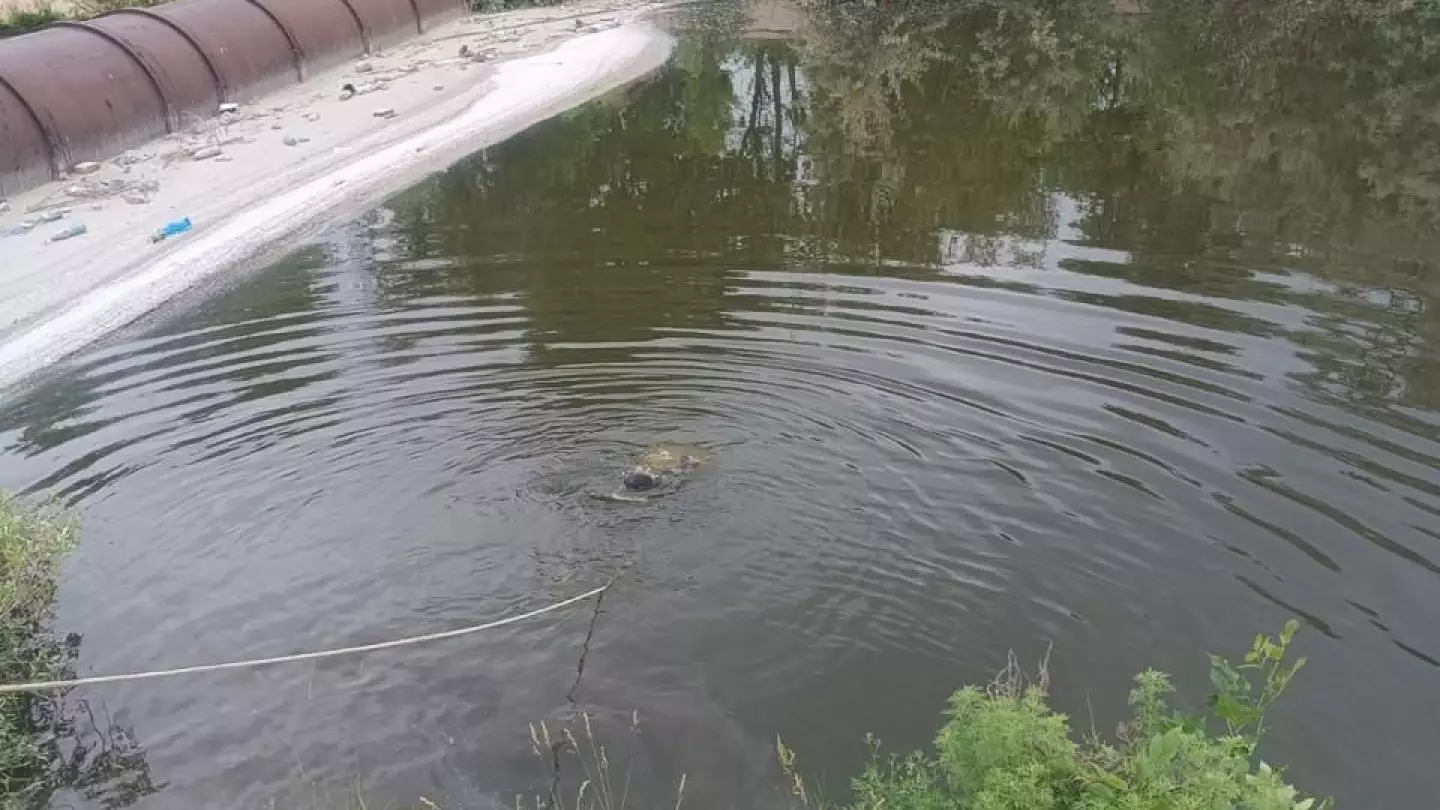 Молодой мужчина утонул в техническом канале в Темиртау
