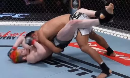 Видео полного боя с необычным финишем, или Как казах рубился с бразильцем в UFC