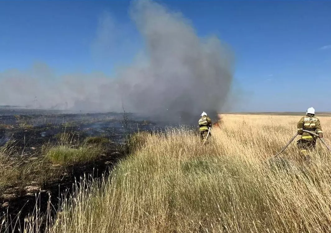 Степной пожар произошел в Туркестанской области