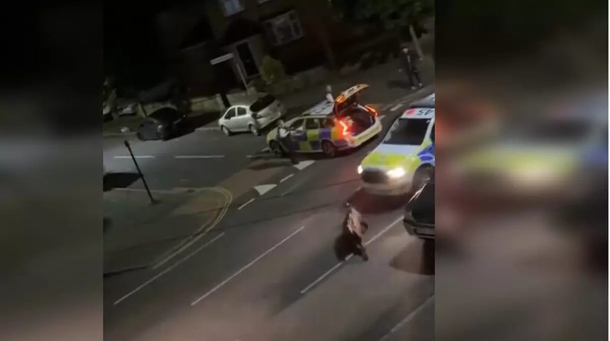 Полицейские Великобритании намеренно сбили сбежавшую корову машиной. ВИДЕО