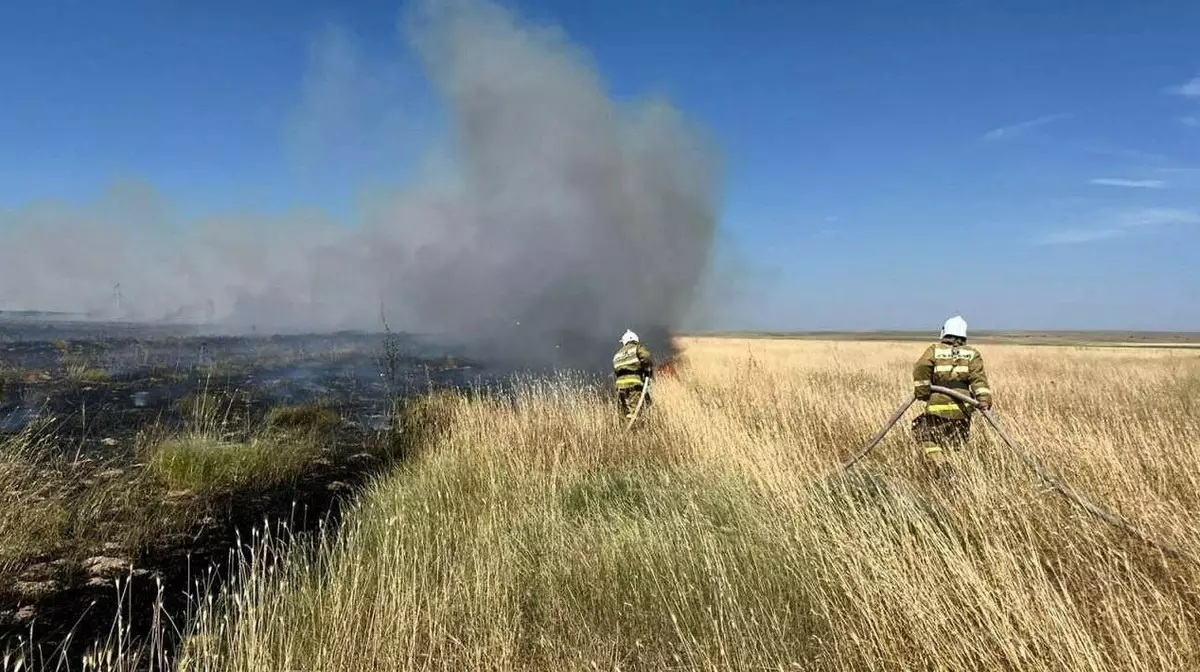 Сильный пожар охватил степи Туркестанской области