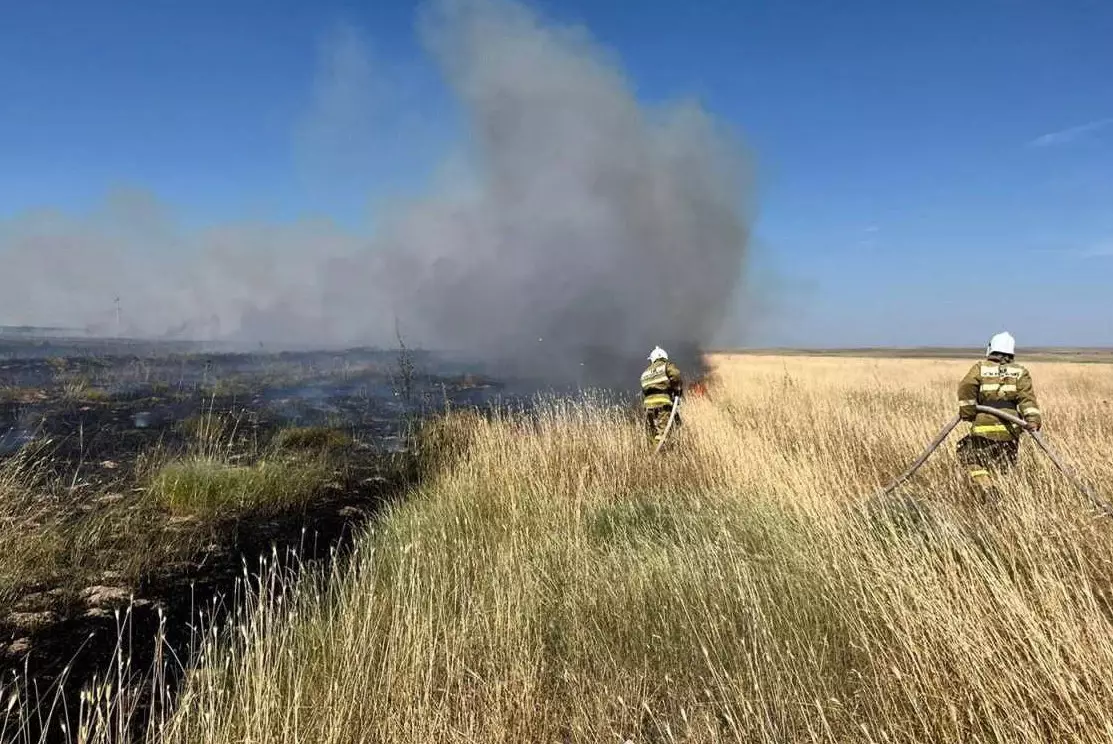 Больше 20 гектаров сухой травы сгорело в Туркестанской области