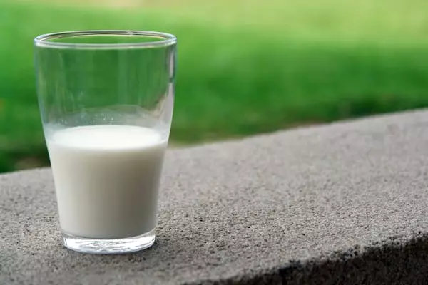 Продавал несуществующее молоко: в Шымкенте бизнесмен попал под суд