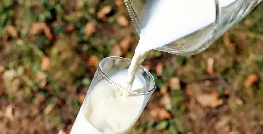 В Шымкенте бизнесмен продавал несуществующее молоко, чтобы получать субсидии