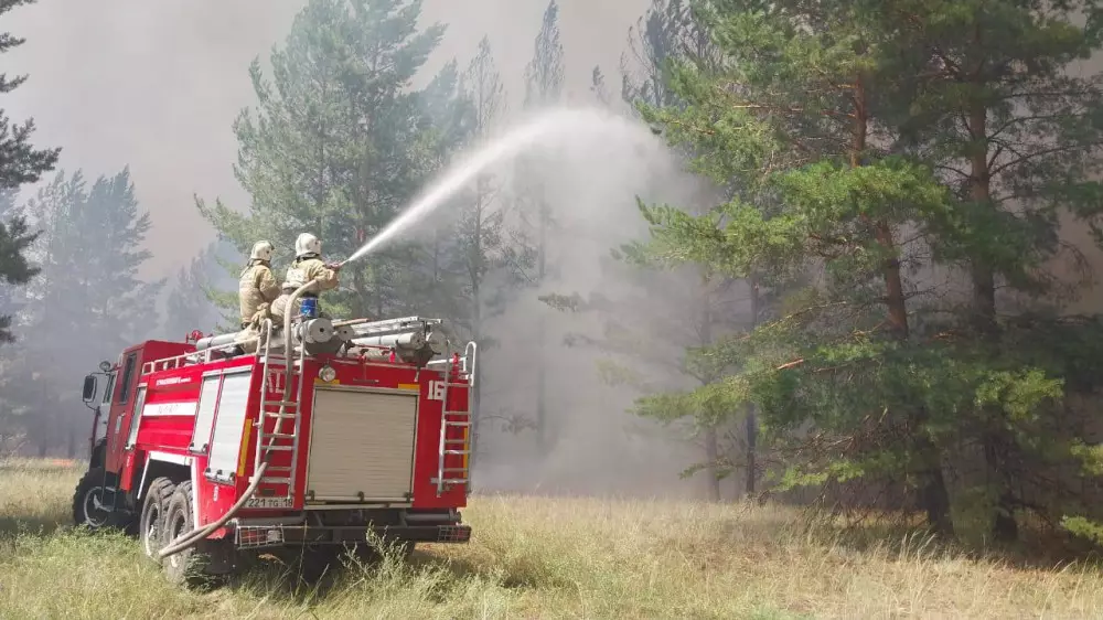 Как Казахстан готовится к новым лесным пожарам
