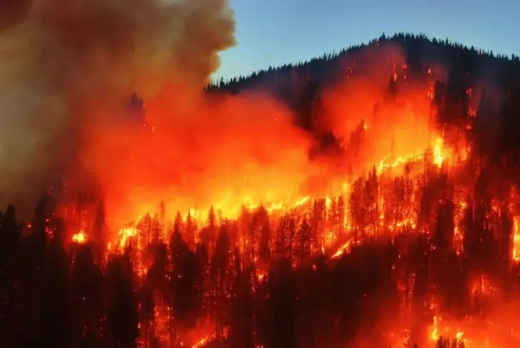Сильнейший лесной пожар охватил Калифорнию