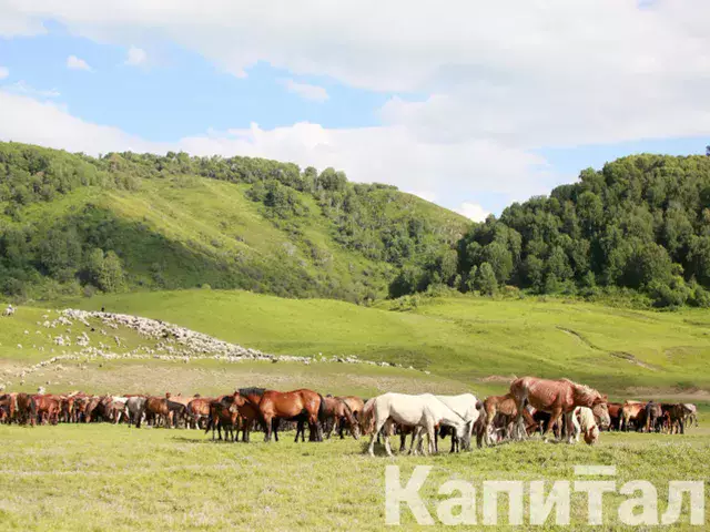 В Алматинской области землепользователи уклонялись от уплаты 1,5 млрд тенге   