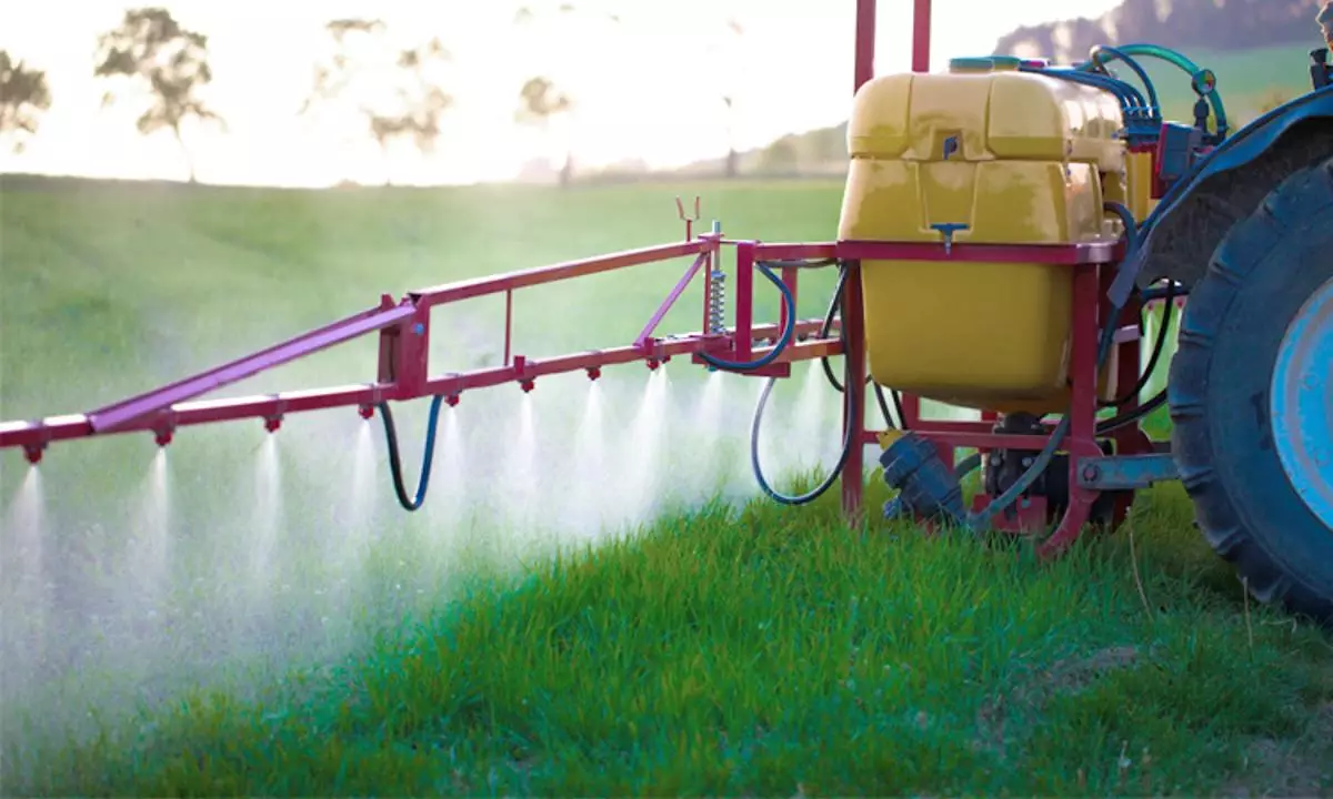 МСХ: Пестициды, используемые в защитных мероприятиях против саранчовых, показывают свою эффективность