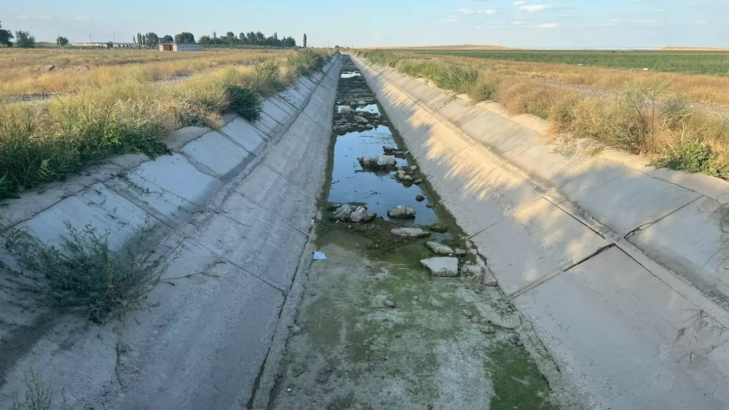 Воровали воду миллионами кубометров: нарушения нашли в Жамбылской области