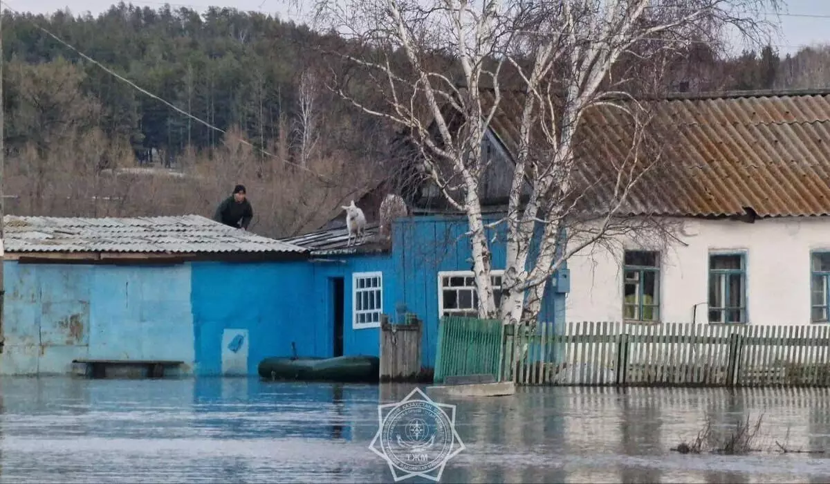 Цифровую систему прогнозирования паводков готовят в Казахстане