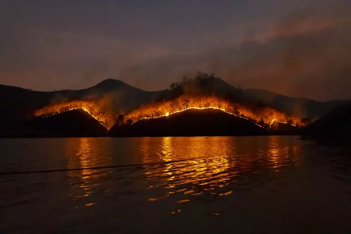 Лесные пожары в Якутии: Огонь охватил площадь размером с два Сингапура